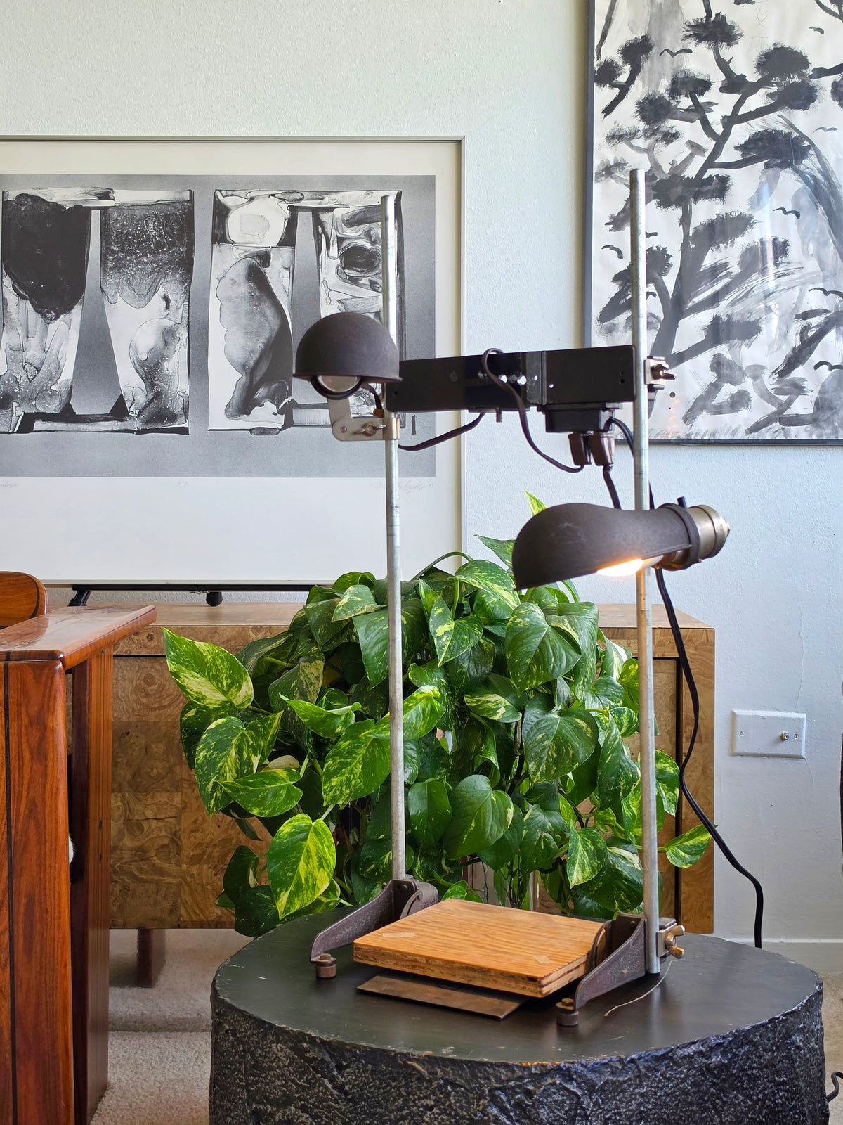 Vintage Industrial Adjustable Dual Task Lamp