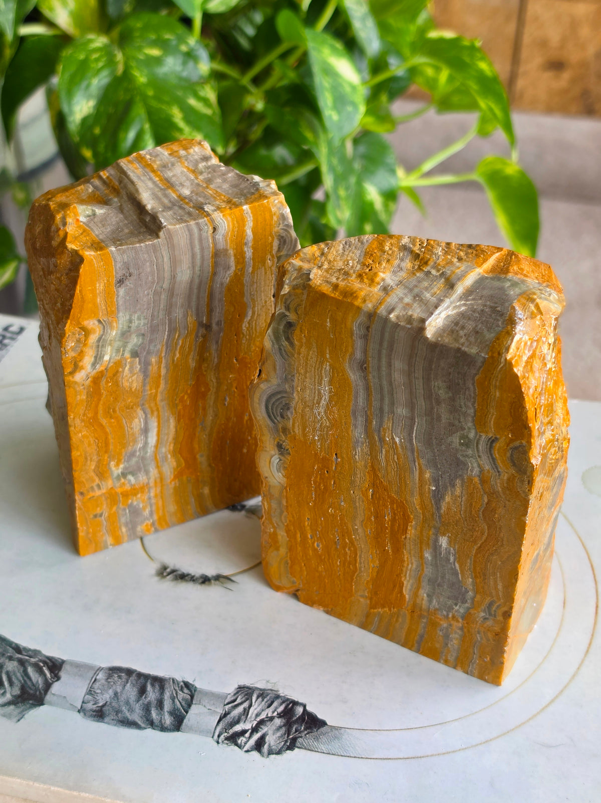 Pair of Bumblebee Jasper Bookends