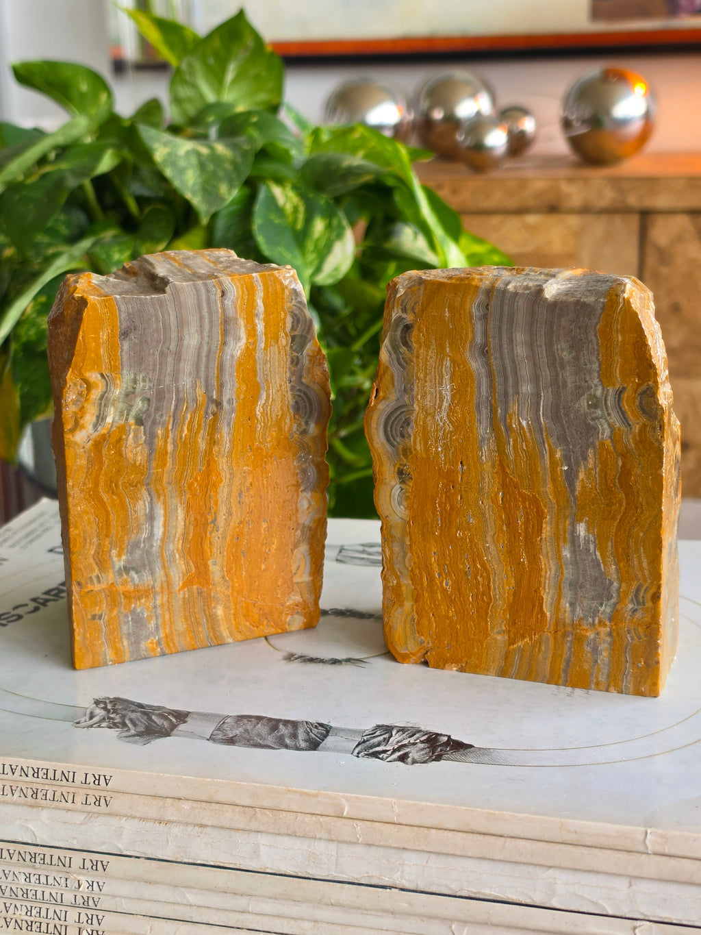Pair of Bumblebee Jasper Bookends