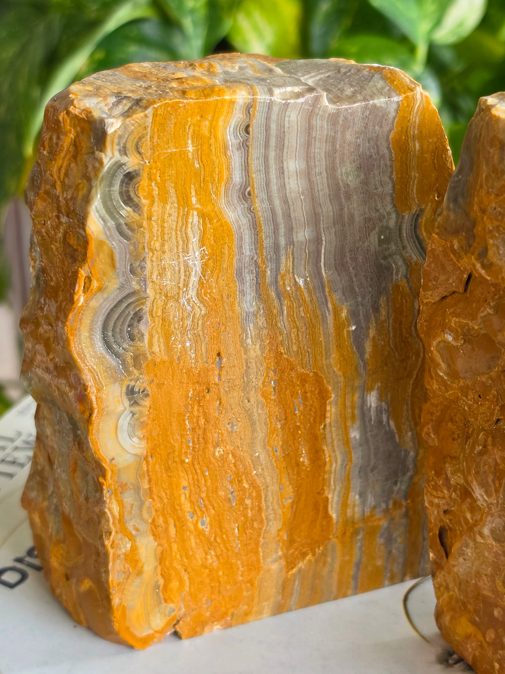 Pair of Bumblebee Jasper Bookends