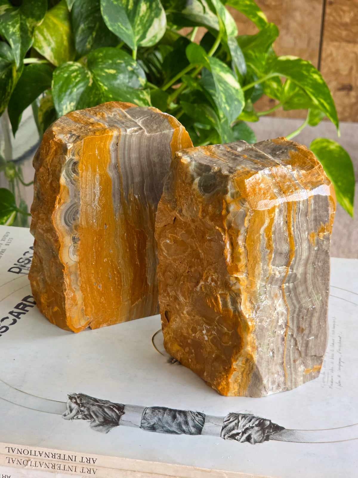 Pair of Bumblebee Jasper Bookends