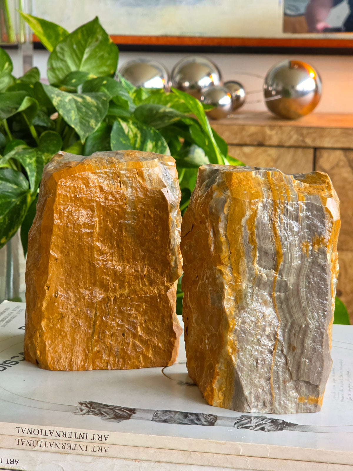 Pair of Bumblebee Jasper Bookends