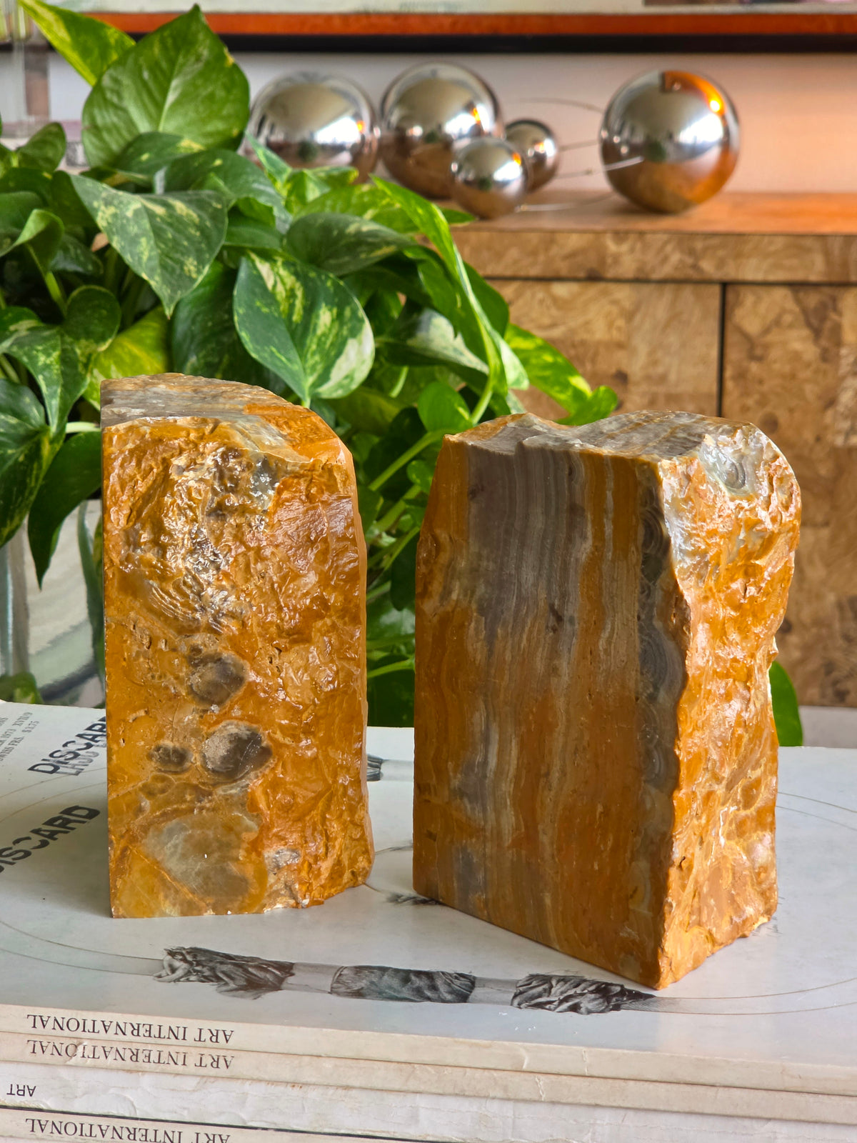 Pair of Bumblebee Jasper Bookends